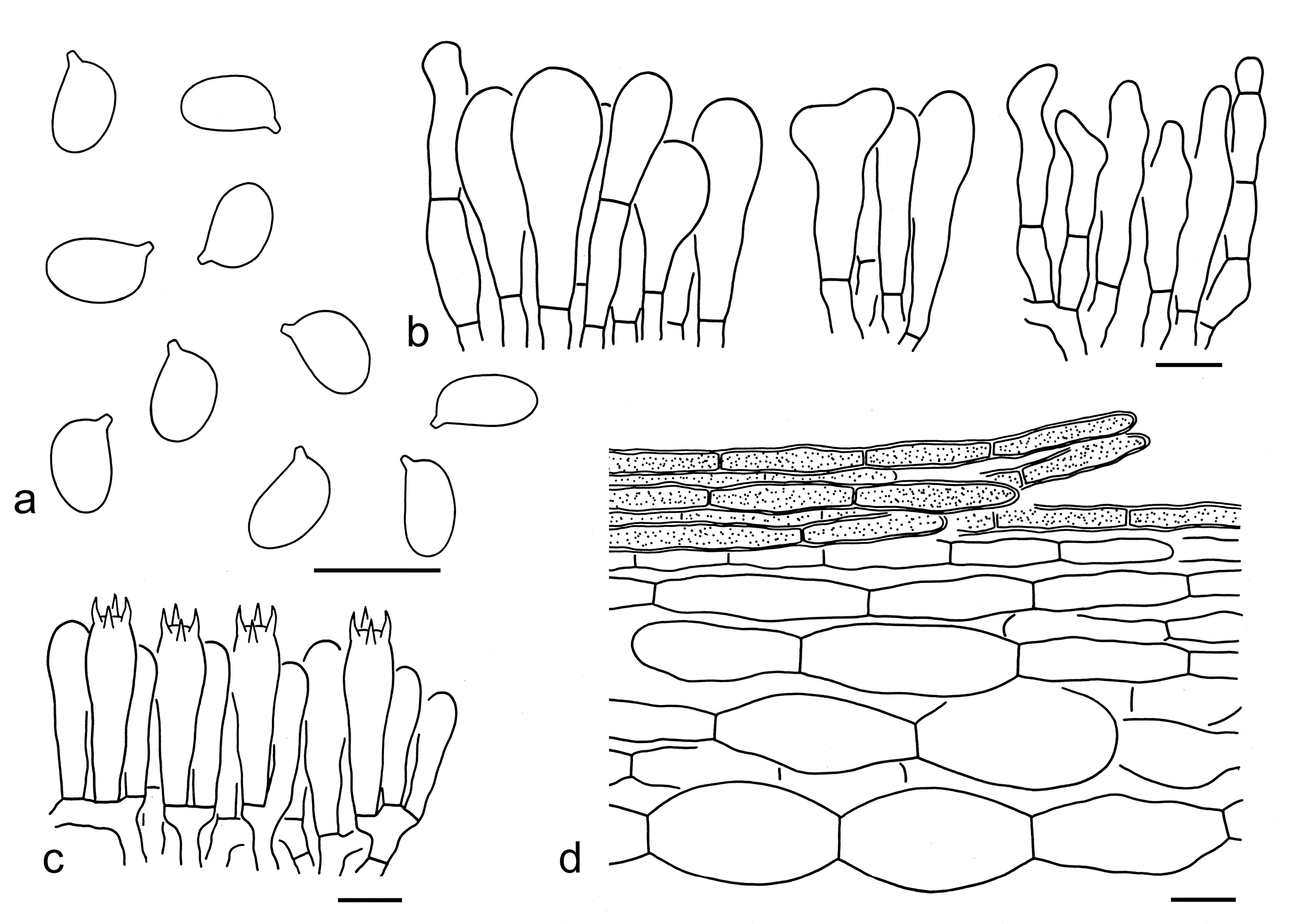 Figure 92